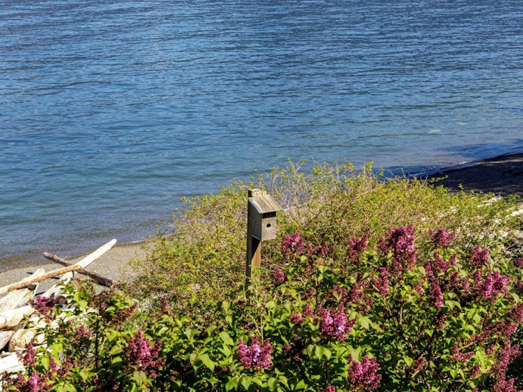 1749 Cove Road, Bowen Island, BC, V0N 1G1 - 5
