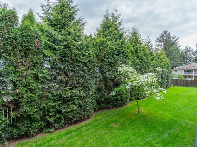15-9446 Hazel Street, Chilliwack, BC, V2P 5N1 - 14