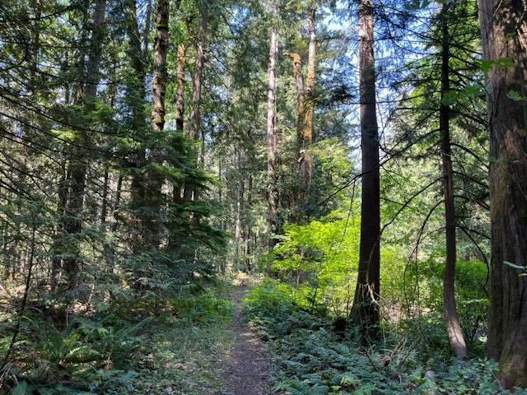 20-19743 Foster Road, Hope, BC, V0X 1L2 - 8