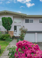 4440 Rumble Street