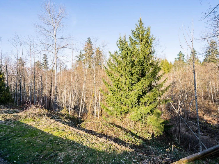 4570 Maysfield Crescent, Langley, BC, V3A 4M1 - 38