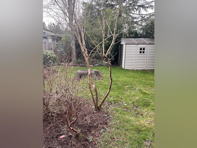 5683 Medusa Street, Sechelt, BC, V0N 3A0 - 17