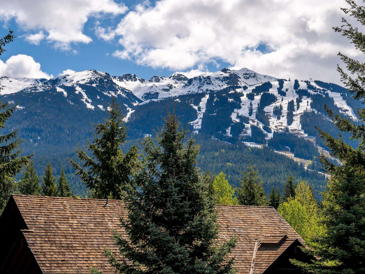 7441 Treetop Lane, Whistler, BC, V8E 0E9 - 33
