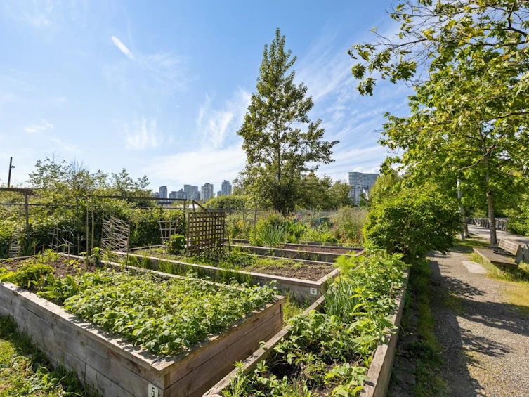 1101-1708 Columbia Street, Vancouver, BC, V5Y 0H7 - 29