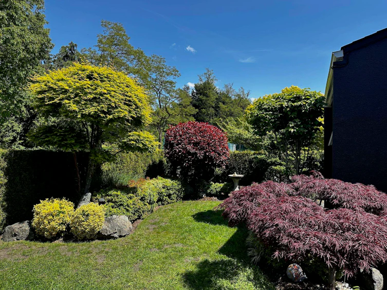 1428 W 37th Avenue, Vancouver, BC, V6M 1M3 - 40