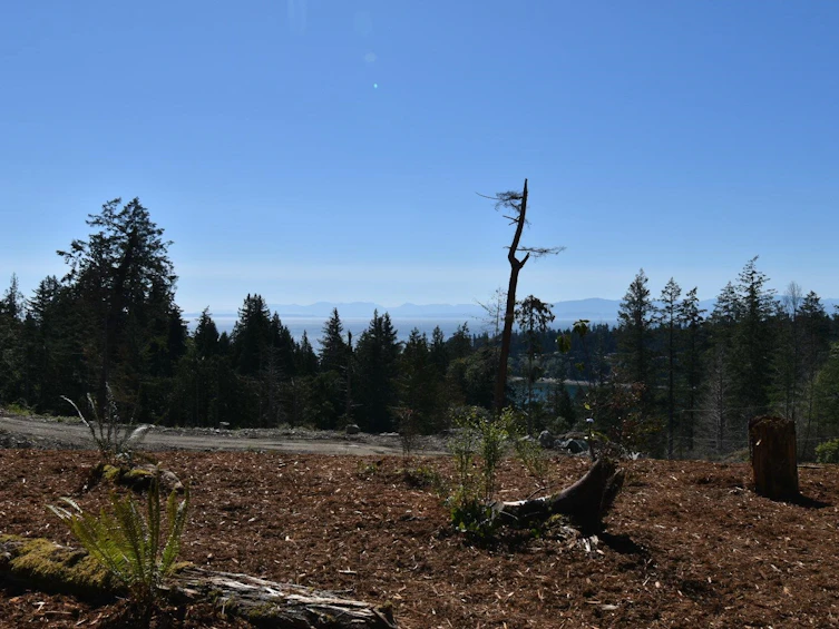 5782 Sargeant Bay Heights Road, Halfmoon Bay, BC, V7Z 1C3 - 11