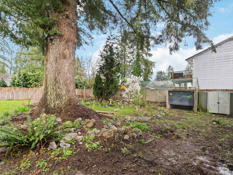 11125 Charlton Street, Maple Ridge, BC, V2X 1N5 - 34