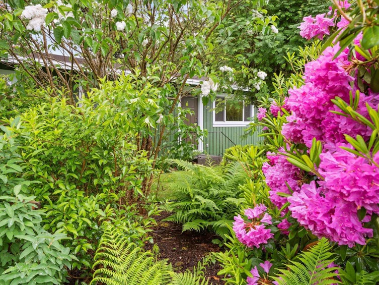 460 Emerald Avenue, Harrison Hot Springs, BC, V0M 1K0 - 23