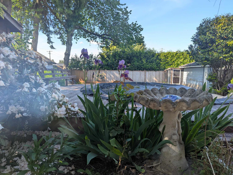 11423 94 Avenue, Delta, BC, V4C 3R3 - 38