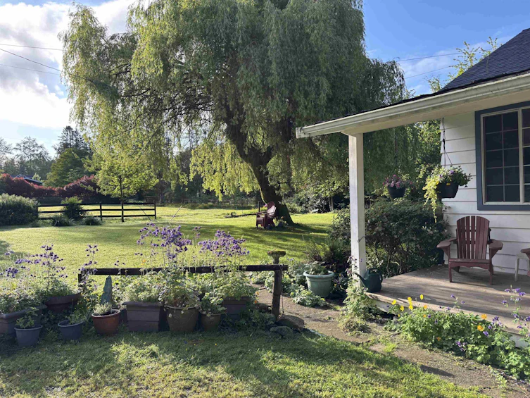 11693 246 Street, Maple Ridge, BC, V4R 1K7 - 6