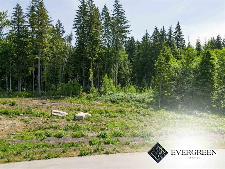 12402 271 Street, Maple Ridge, BC, V2W 1C2 - 3