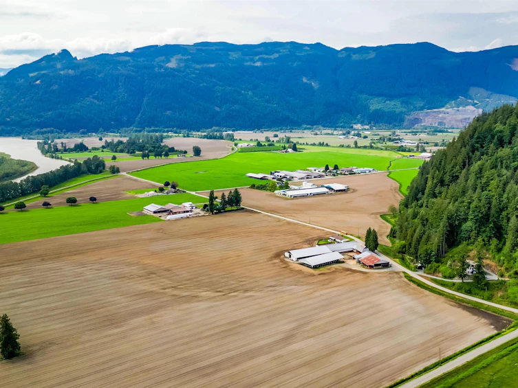 5281 Limbert Road, Agassiz, BC, V0M 1A3 - 37