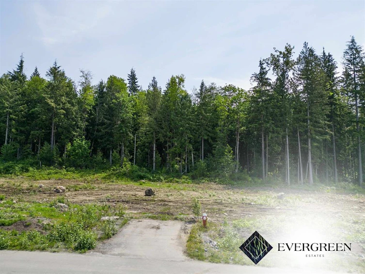 12462 271 Street, Maple Ridge, BC, V2W 1C2 - 3