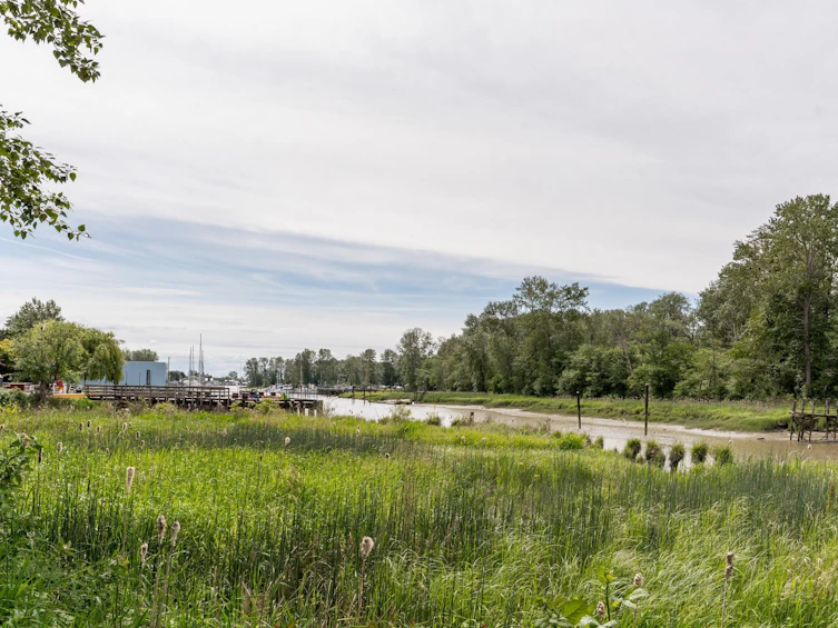 207-4955 River Road, Delta, BC, V4K 4V9 - 4
