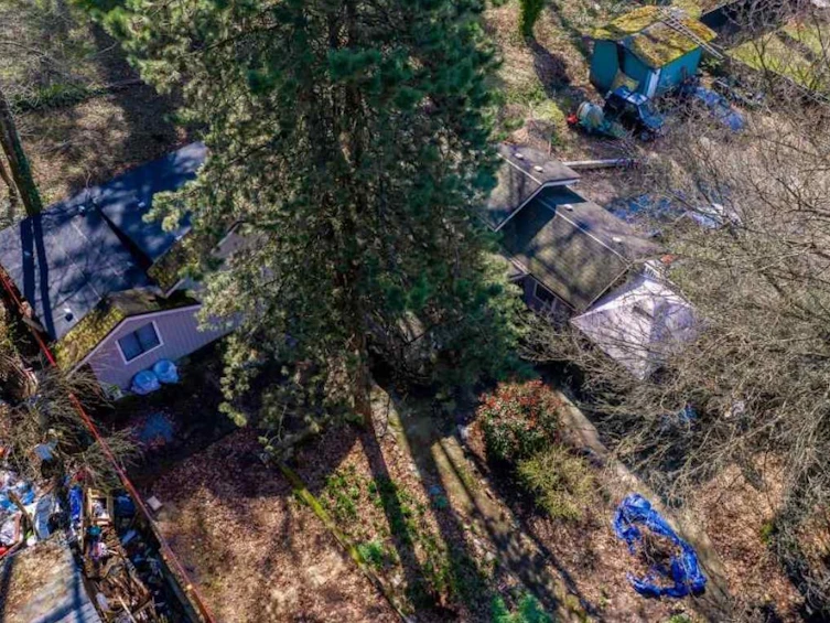 12956 112 Avenue, Surrey, BC, V3T 2S5 - 7