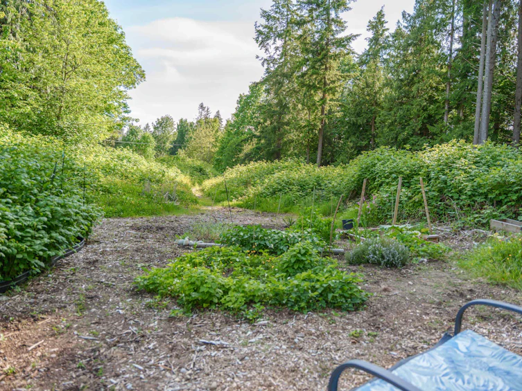 9-4514 Sunshine Coast Highway, Sechelt, BC, V7Z 0G9 - 22