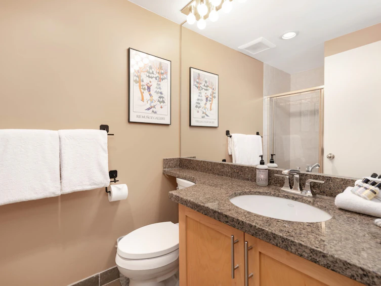 303/304-4905 Spearhead Place, Whistler, BC, V8E 1E8 - 17