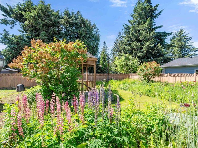 46238 Maple Avenue, Chilliwack, BC, V2P 2J4 - 4