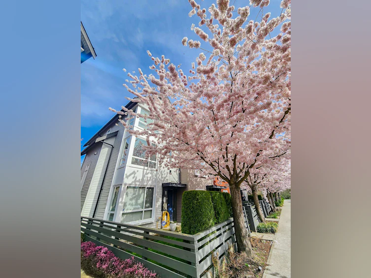 70-2310 Ranger Lane, Port Coquitlam, BC, V3B 0K3 - 33