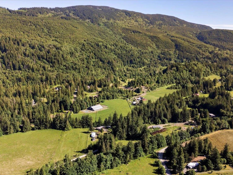 1233 Kosikar Road, Columbia Valley, BC, V2R 4X7 - 34