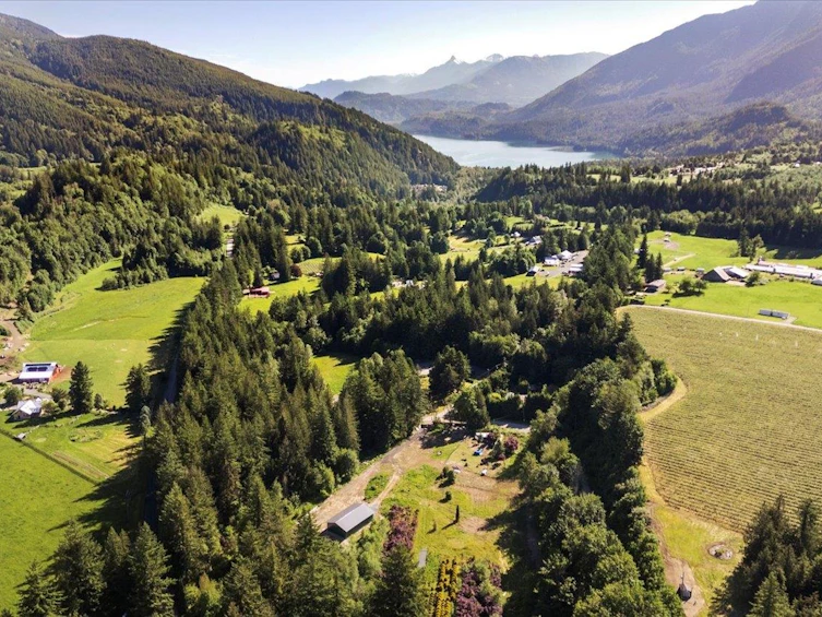 1233 Kosikar Road, Columbia Valley, BC, V2R 4X7 - 32