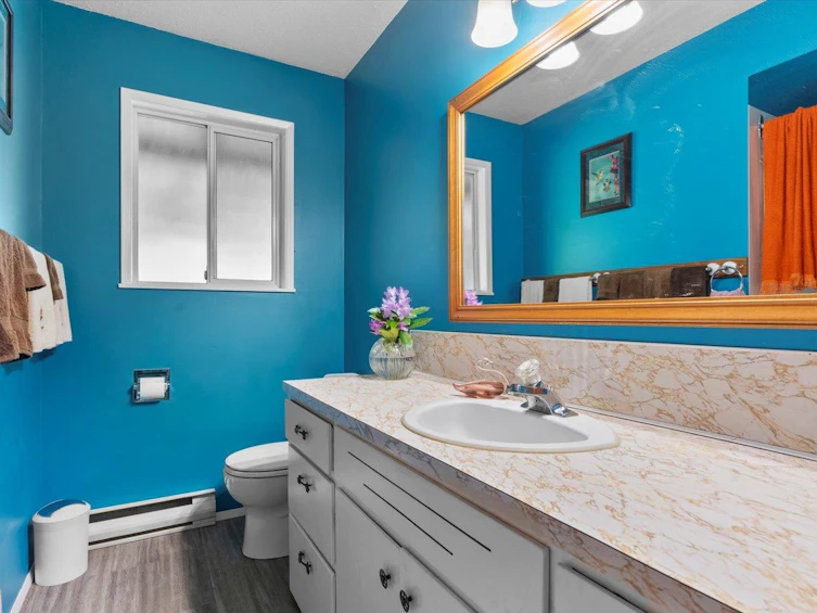 1233 Kosikar Road, Columbia Valley, BC, V2R 4X7 - 17