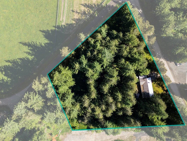 1233 Kosikar Road, Columbia Valley, BC, V2R 4X7 - 4