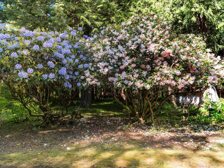 1233 Kosikar Road, Columbia Valley, BC, V2R 4X7 - 29