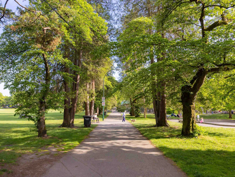 908 W 21st Avenue, Vancouver, BC, V5Z 1Z1 - 33