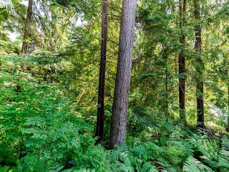 1174 Strathaven Drive, North Vancouver, BC, V7H 2Z6 - 29