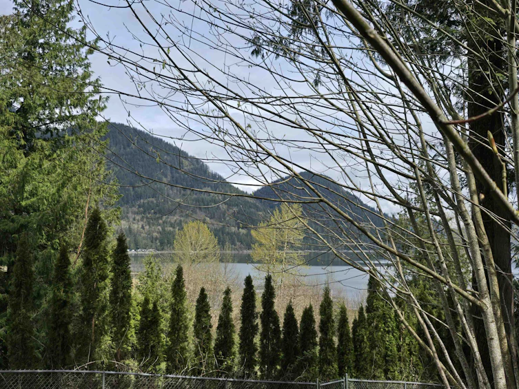 44291 Bayview Road, Mission, BC, V0M 1N0 - 3