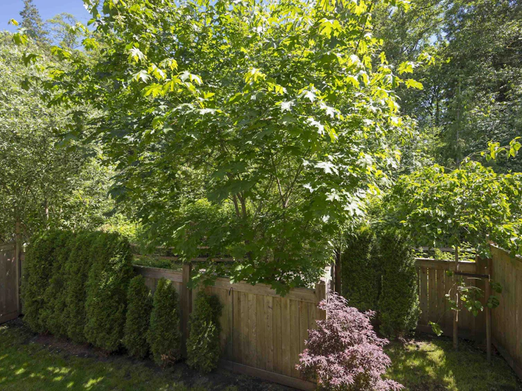 109-8217 204b Street, Langley, BC, V2Y 0V6 - 36