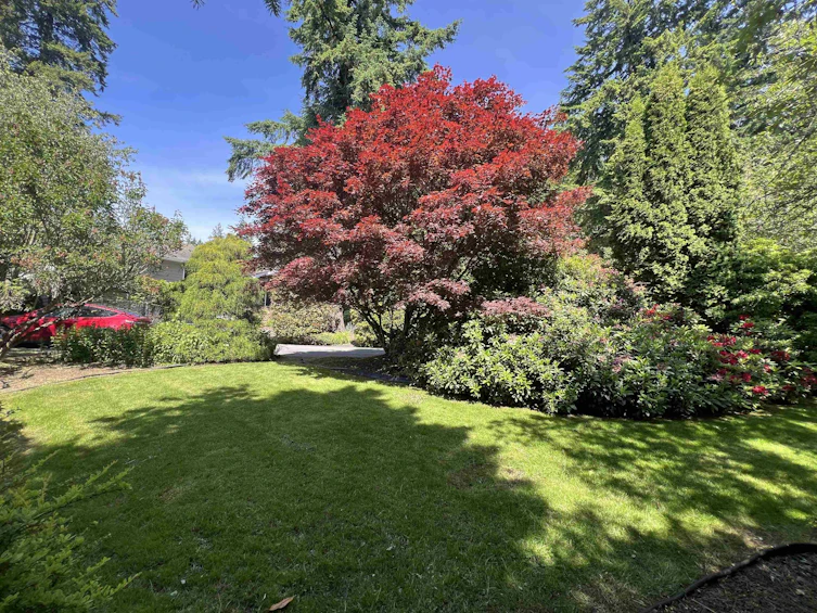 14387 24a Avenue, Surrey, BC, V4P 1R8 - 3