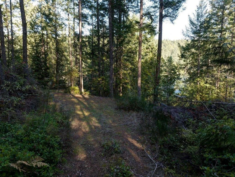 LOT 29 Wescan Road, Halfmoon Bay, BC, V0N 1Y2 - 4