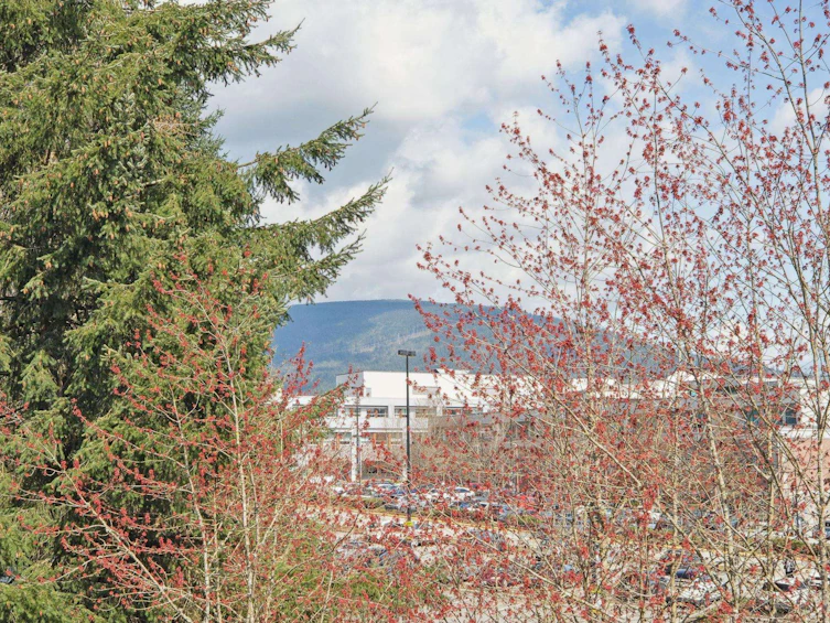 426-1252 Town Centre Boulevard, Coquitlam, BC, V3B 7R7 - 26