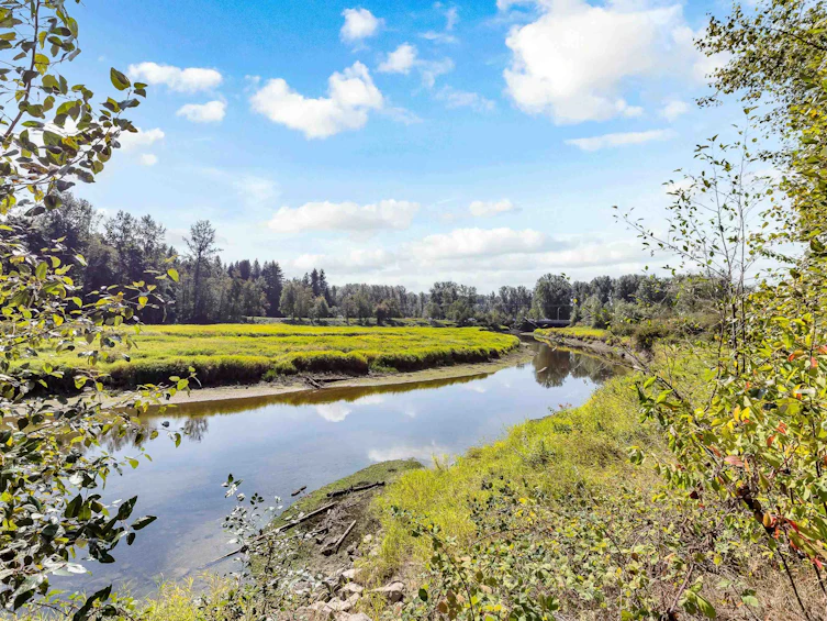 24003 109 Avenue, Maple Ridge, BC, V2W 1Z4 - 34