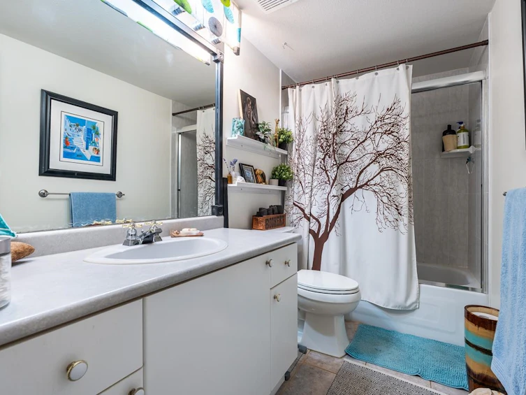 61 Wilkes Creek Drive, Port Moody, BC, V3H 4Z9 - 32