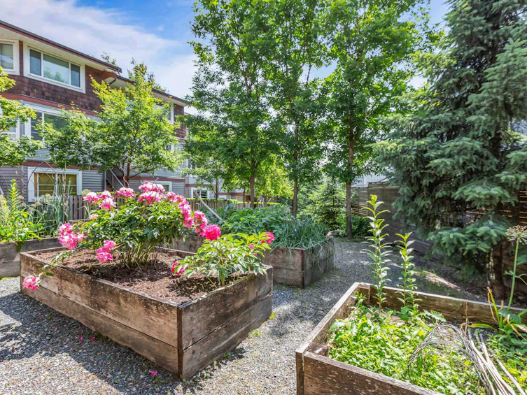 69-23651 132 Avenue, Maple Ridge, BC, V4R 0E9 - 33