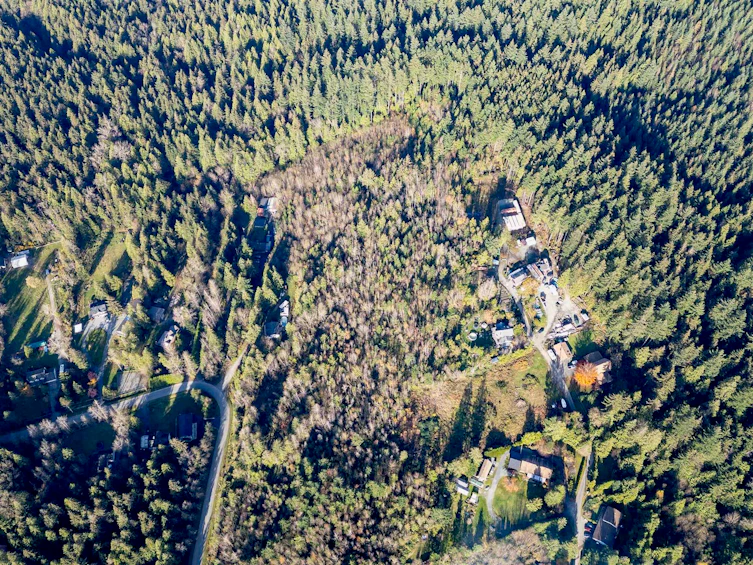 11082 Greenwood Drive, Mission, BC, V4S 1A9 - 4