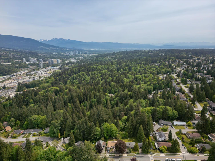 985 Gatensbury Street, Coquitlam, BC, V3J 5J6 - 34