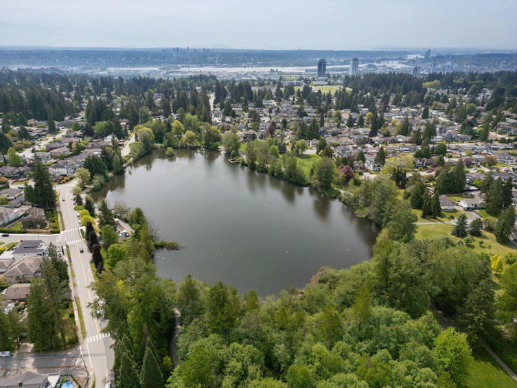 985 Gatensbury Street, Coquitlam, BC, V3J 5J6 - 35