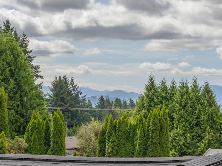 8062 Clegg Street, Mission, BC, V2V 3R5 - 22