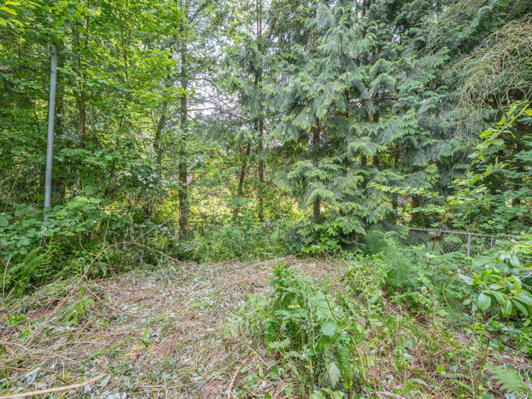 8062 Clegg Street, Mission, BC, V2V 3R5 - 40