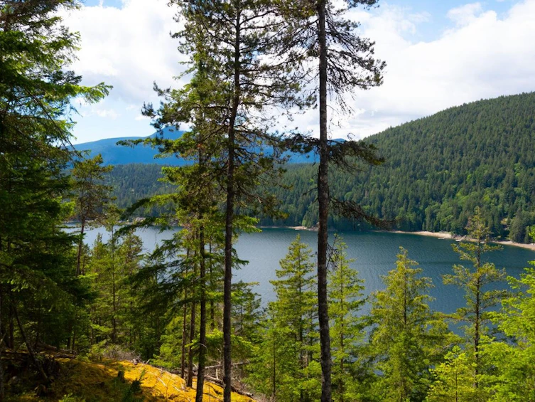 1029 Center Bay Road, Gambier Island, BC, V0N 1V0 - 10