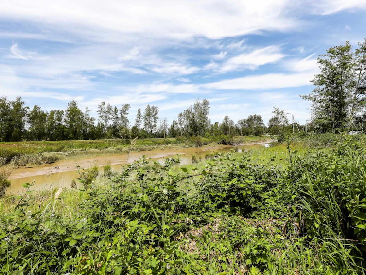 109-4955 River Road, Delta, BC, V4K 4V9 - 33