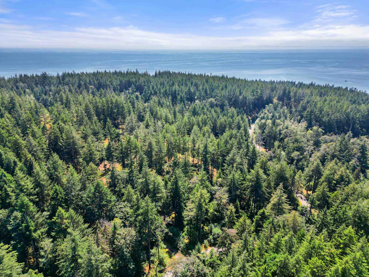 1795 Cape Drive, Bowen Island, BC, V0N 1G2 - 30