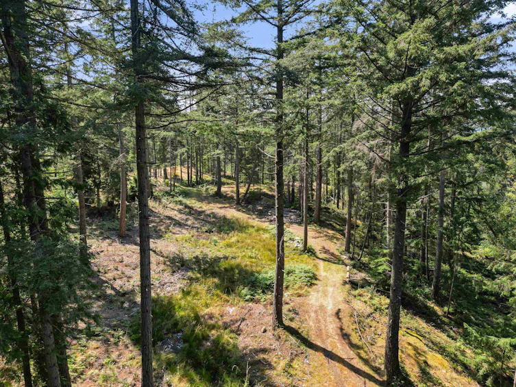 1795 Cape Drive, Bowen Island, BC, V0N 1G2 - 13
