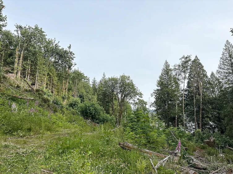 District Lot 5270, Pender Harbour Egmont, BC, V0N 1N0 - 26