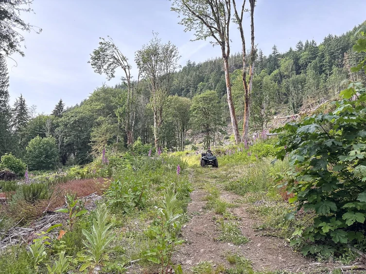 District Lot 5270, Pender Harbour Egmont, BC, V0N 1N0 - 25