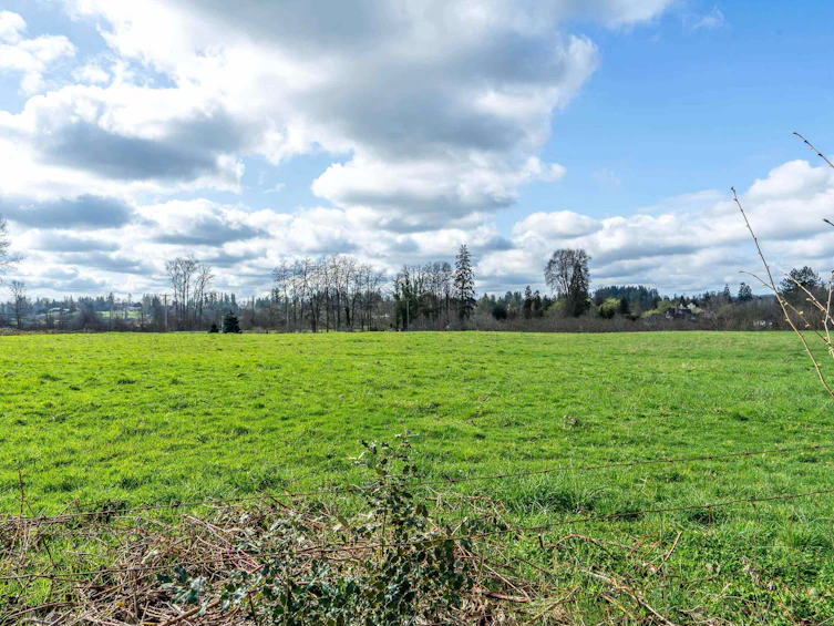 22966 88 Avenue, Langley, BC, V1M 2S1 - 35